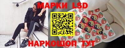 прущие грибы Кандалакша