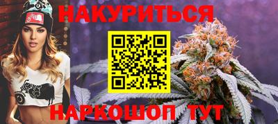 прущие грибы Кандалакша