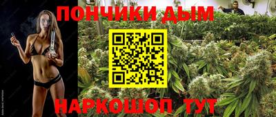прущие грибы Кандалакша