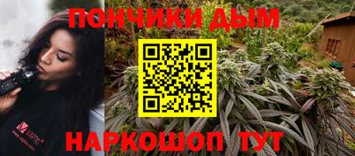 прущие грибы Кандалакша