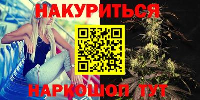 прущие грибы Кандалакша
